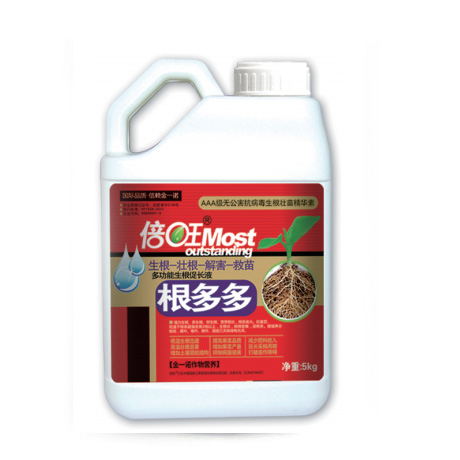 根多多